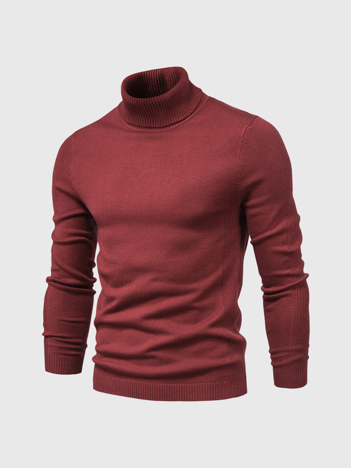 Men's Jumper With Ribbed Roll Neck | Knit