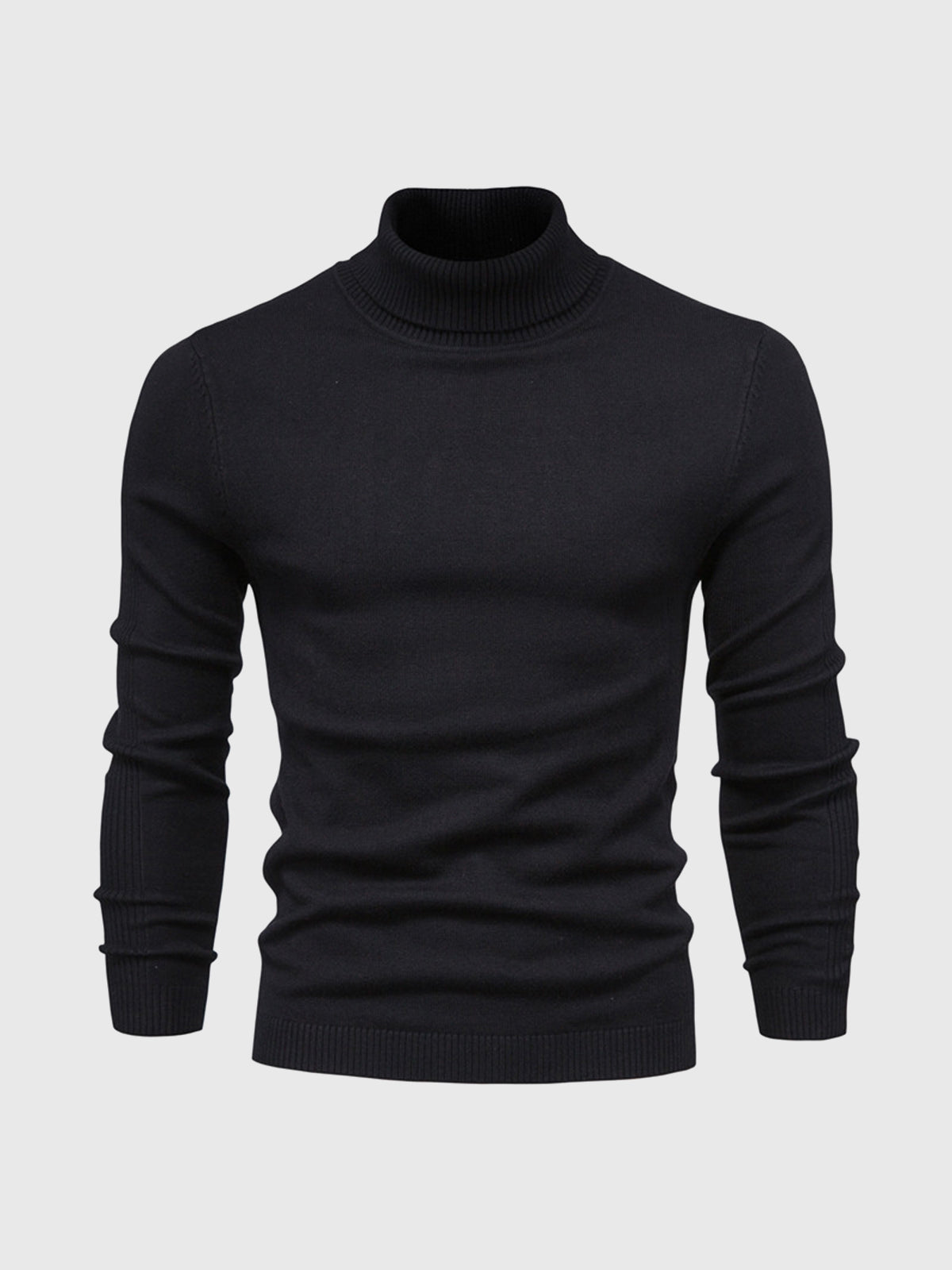 Men's Jumper With Ribbed Roll Neck | Knit