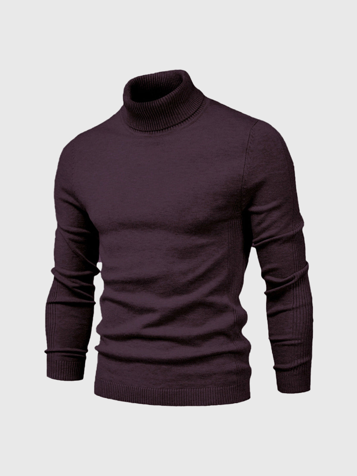 Men's Jumper With Ribbed Roll Neck | Knit
