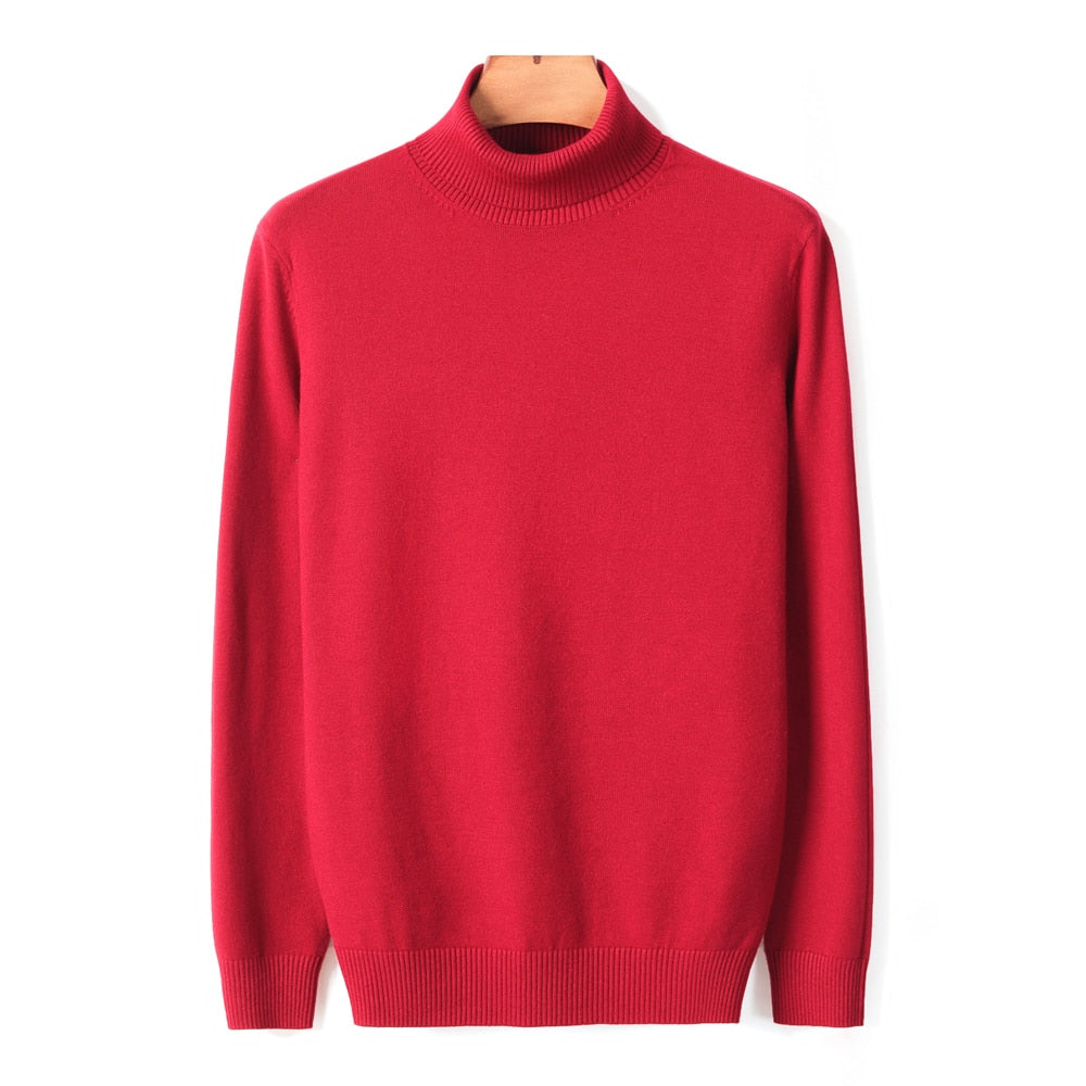 Men's Jumper With Ribbed Roll Neck | Knitted