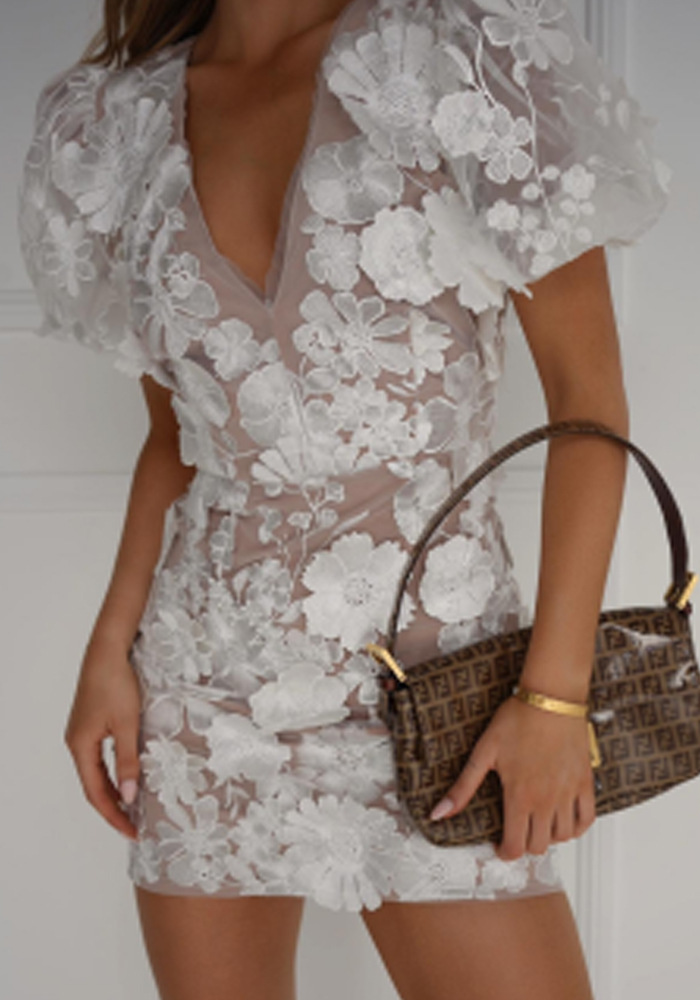 Women's Floral Embroidered Mini Dress With V-neck & Puff Sleeves