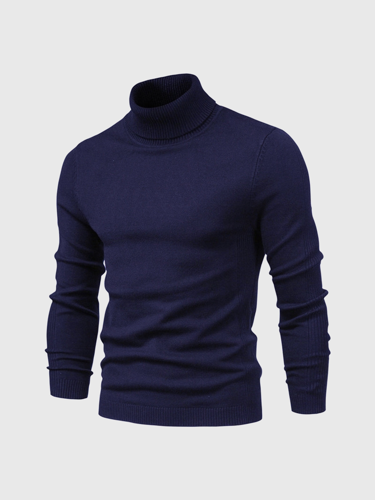 Men's Jumper With Ribbed Roll Neck | Knit