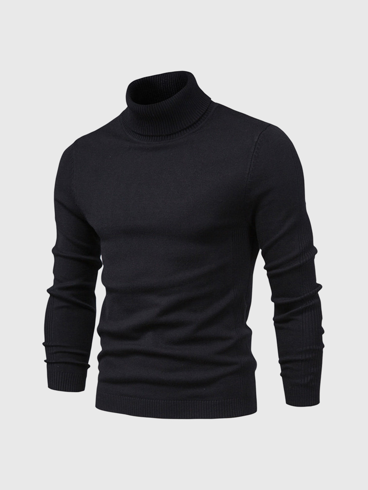 Men's Jumper With Ribbed Roll Neck | Knit