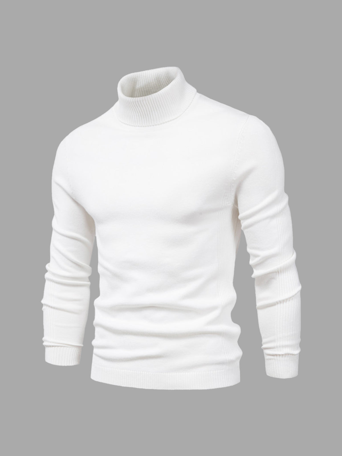 Men's Jumper With Ribbed Roll Neck | Knit