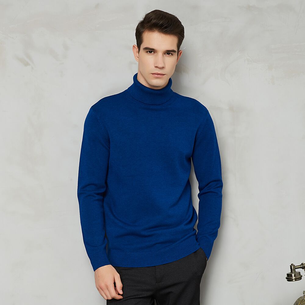 Men's Jumper With Ribbed Roll Neck | Knitted
