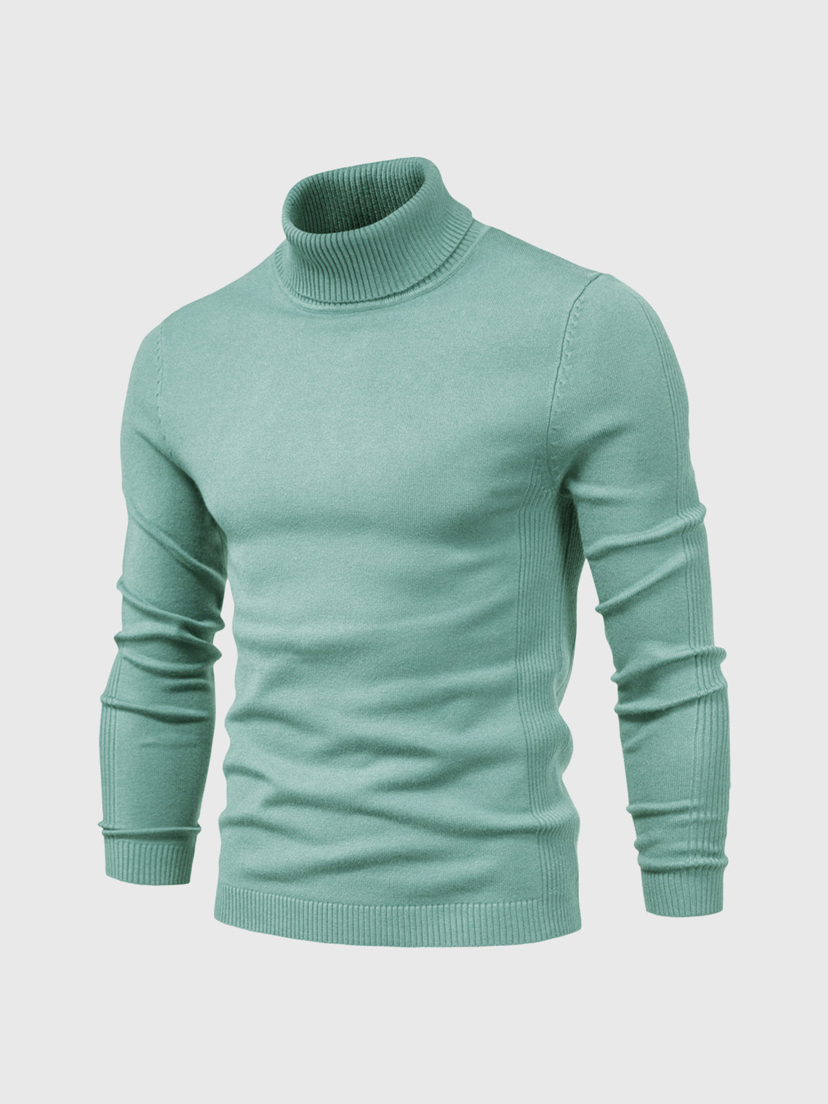 Men's Jumper With Ribbed Roll Neck | Knit