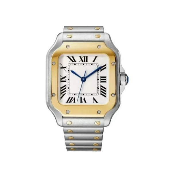 STAINLESS STEEL UNISEX WATCH WITH ROMAN NUMERALS